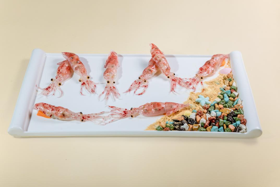 71FEF68E39E3C58EE6D84A65FFE_7C533BC4_6524B 71FEF68E39E3C58EE6D84A65FFE_7C533BC4_6524B