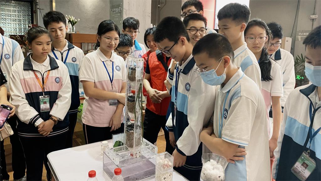 EFD6B57E71B9FD3EE42C3AFADF3_E71B7BCB_1AFA5