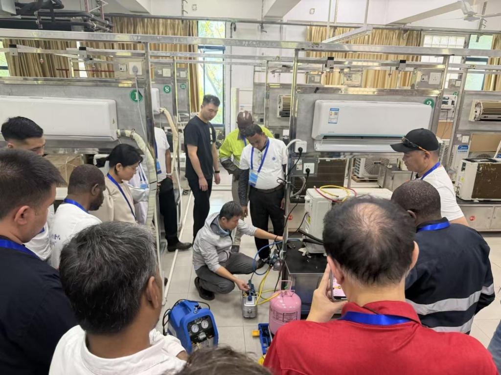 3EA8851ADBB8B96569630E2978E_79D9C400_1E202