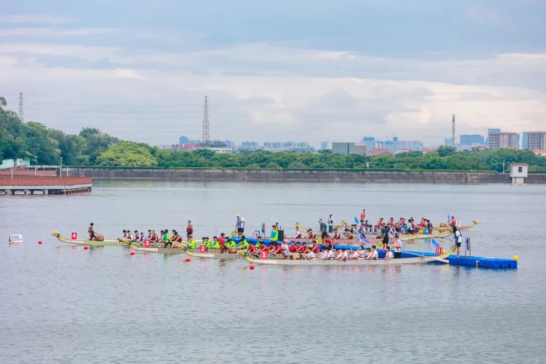 98B219A814ED511AC26FED1FD19_A1D2CE15_2CFD3