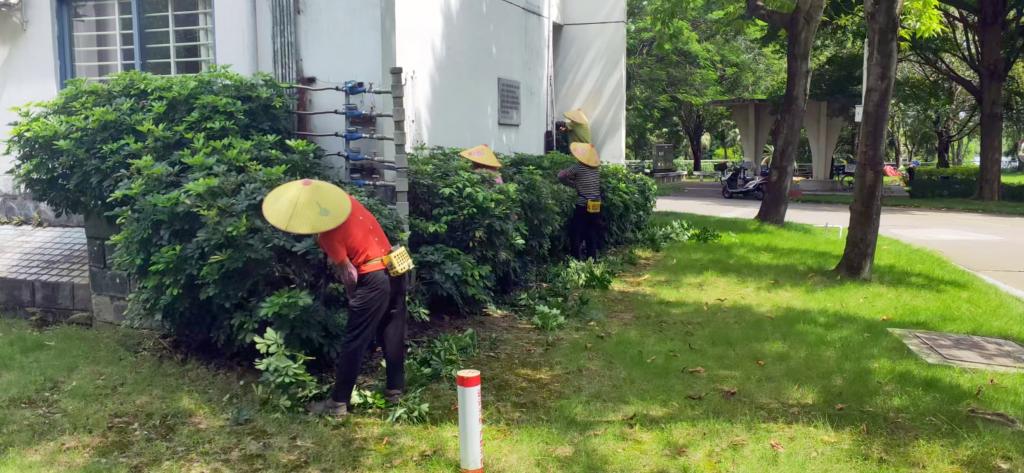 9ACE0627597BF23552A12D9282D_746849D2_189B3