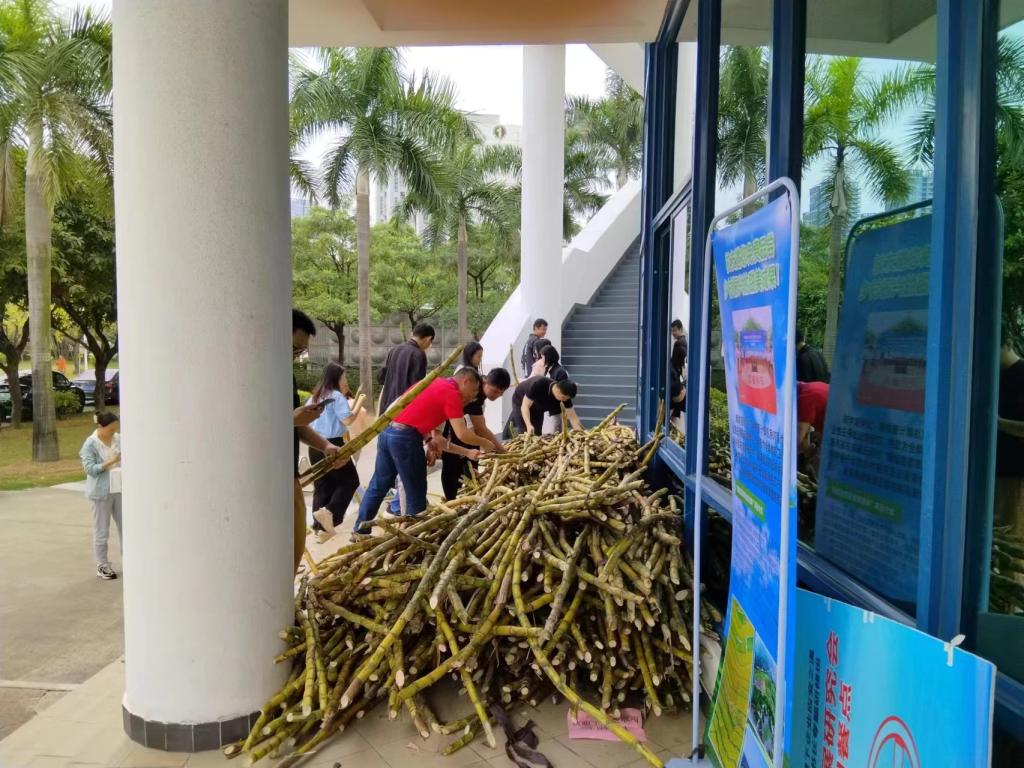 1F6952406480ADF20B37F2B6BDF_8C21479C_21FAD 1F6952406480ADF20B37F2B6BDF_8C21479C_21FAD