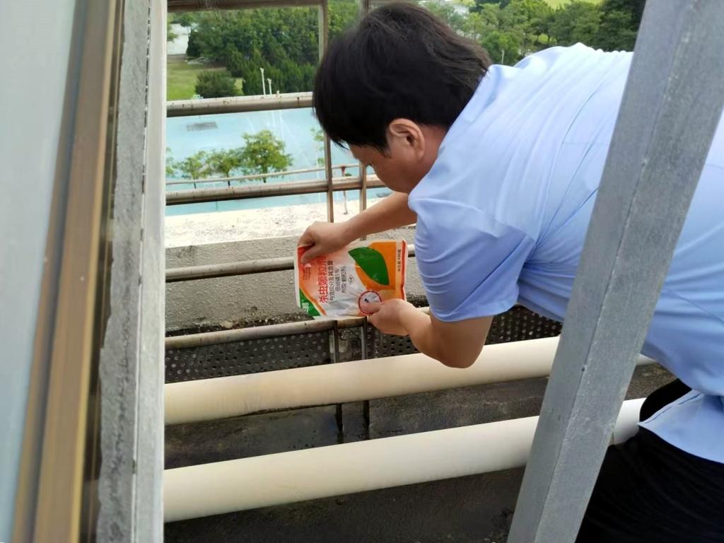 EEE3A498AF237C014F05EEDD606_0E164F33_155E8