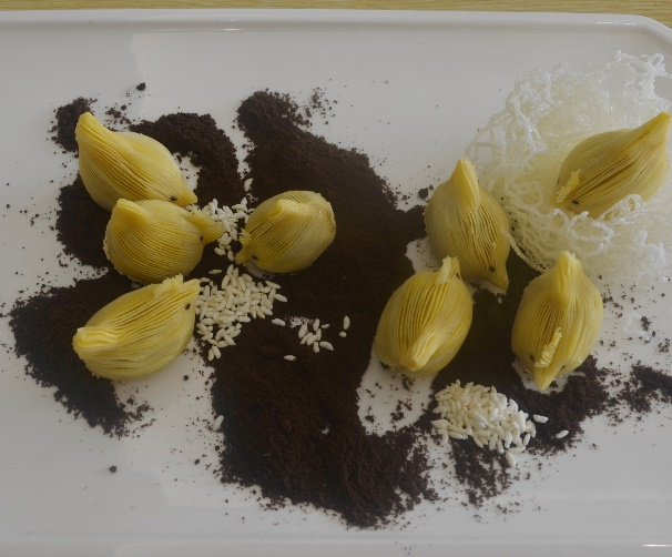 8C2DE624DA86041C660CA731033_5D6124DD_5EA3E